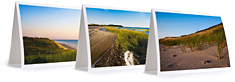 Wellfleet Cape Cod Notecard Collection