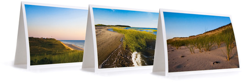 Cape Cod Art Notecards