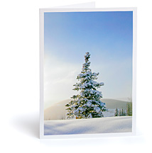 Christmas Card: Snow Covered Tree