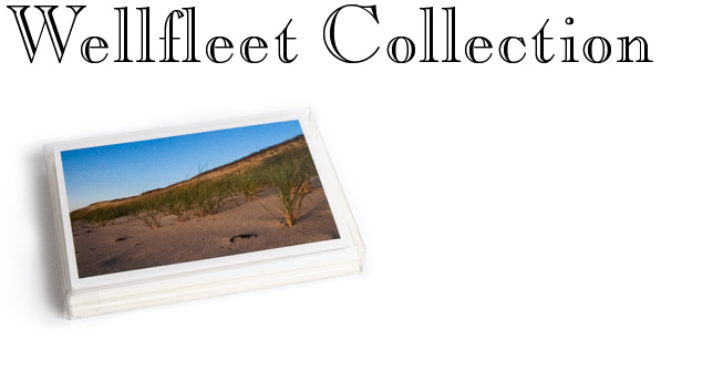 Cape Cod Note Cards