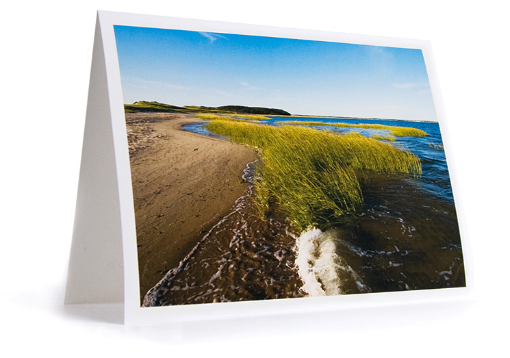 Wellfleet Cape Cod Notecard Set