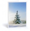 Snow Covered Tree Holiday Card