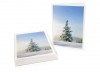 Snow Covered Tree Holiday Card