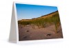 Wellfleet Cape Cod Notecard Set